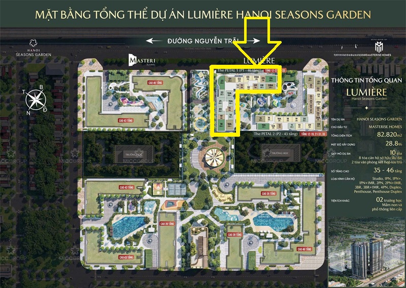 Mặt bằng tổng tòa chung cư The Petal – LUMIÈRE Hanoi Seasons Garden Nguyễn Trãi mở bán